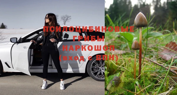 Альфа ПВП Алексин