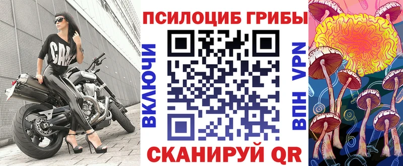Псилоцибиновые грибы Psilocybine cubensis  Бобров 